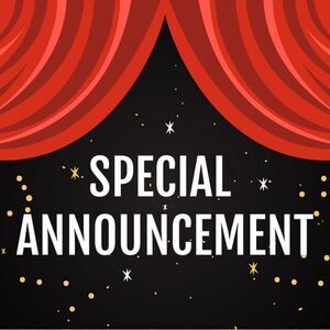 Please read before purchasing from my closet or live show